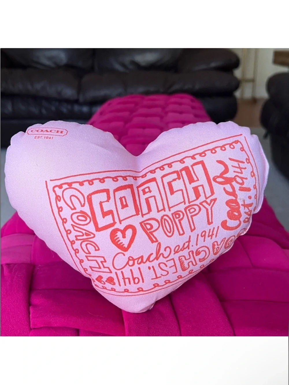 Coach Poppy Chan Cherry Pillow